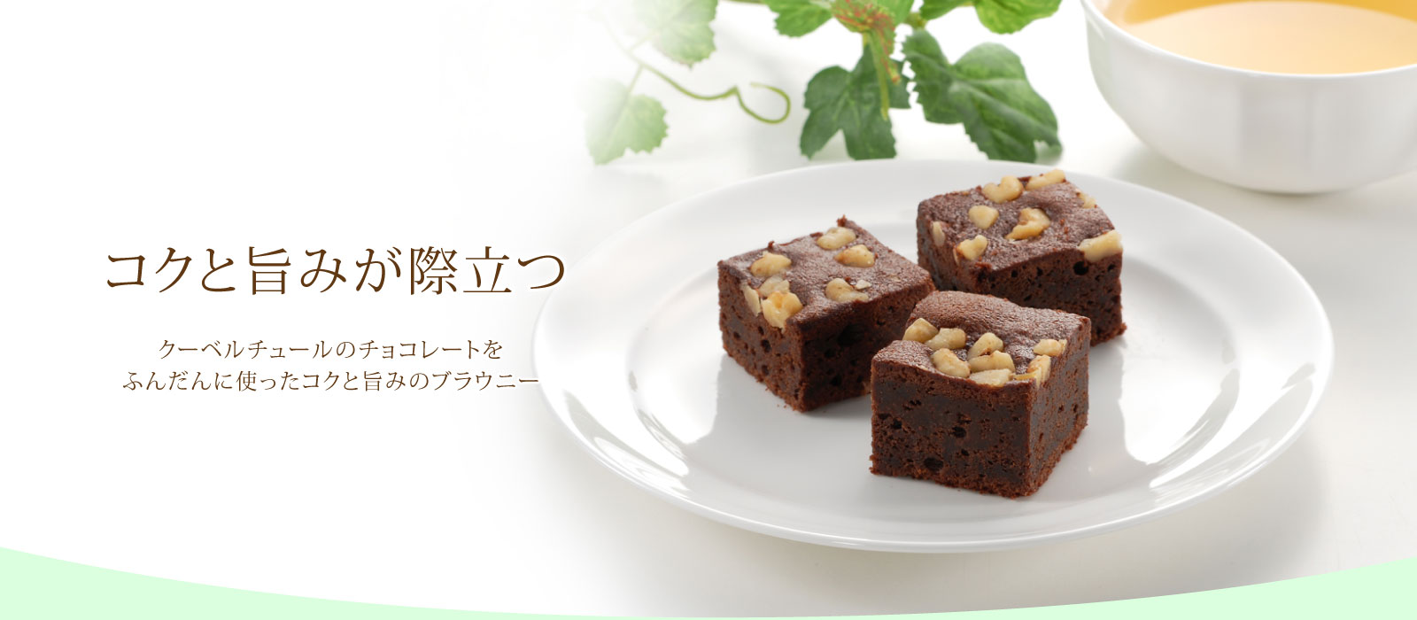 トップイメージ