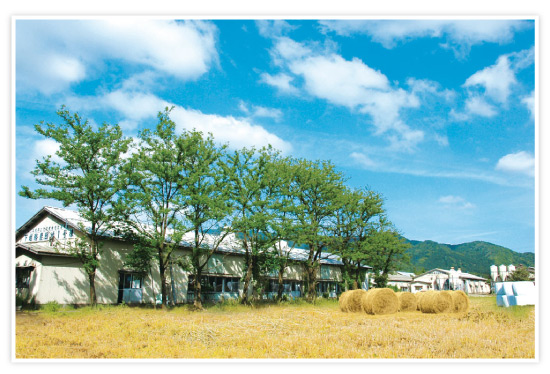 安田の郷　牛舎